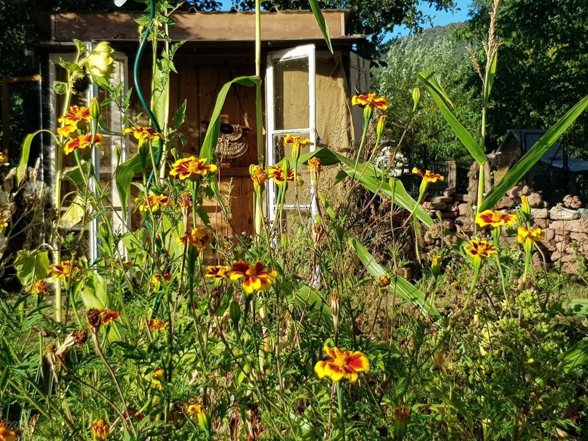 לינה וארוחת בוקר Rougegoutte Le Jardin Des Gouttes מראה חיצוני תמונה